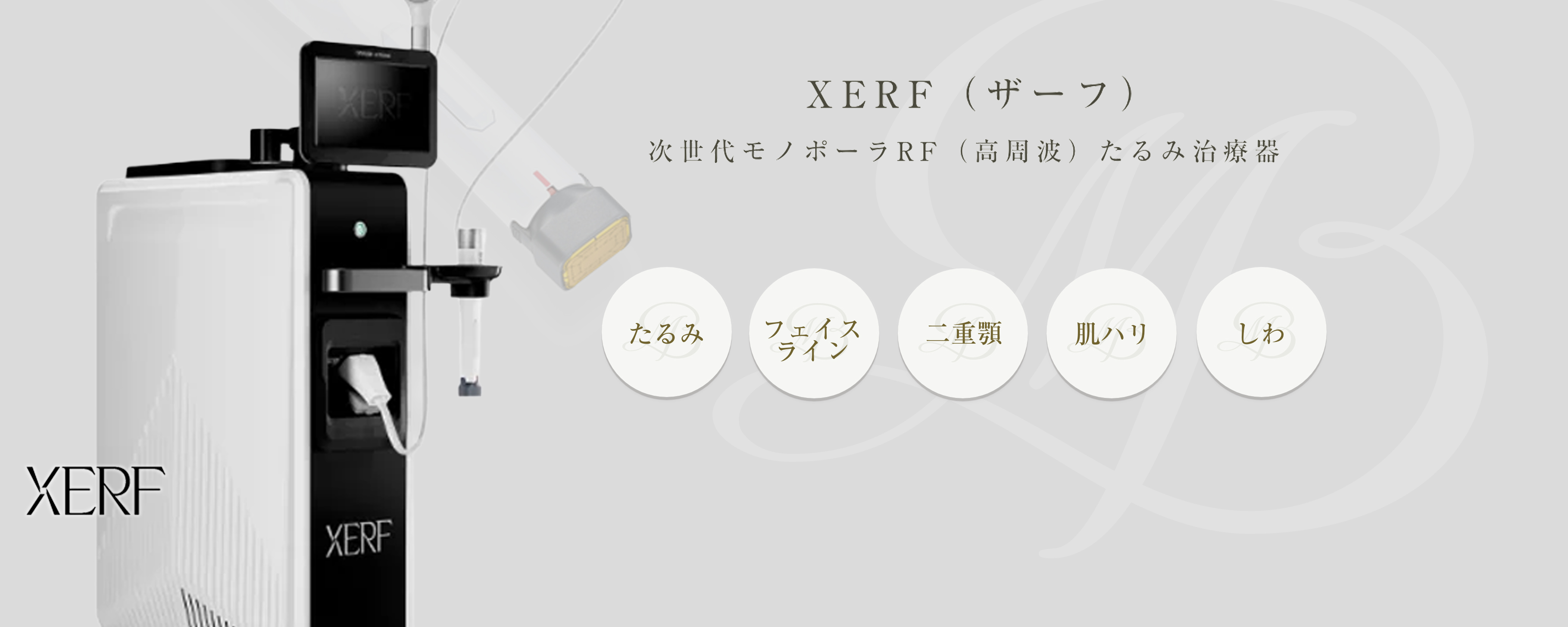 XERF（ザーフ）